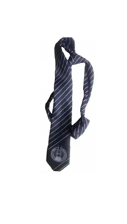 [42] CHSE Official Tie